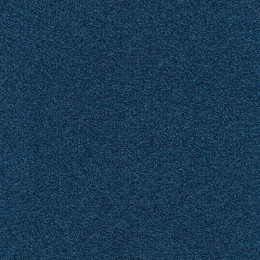 Ковровая плитка Modulyss (Модулус) Perpetual Xtra (Перпечуал Экстра) 50F