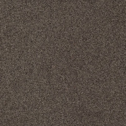 Ковровая плитка Modulyss (Модулус) Gleam (Глим) 894