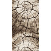 Ковровая дорожка Лайла Де Люкс 15851/10842