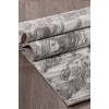 Ковер ARMINA ( АРМИНА ) 04075G - GREY / GREY