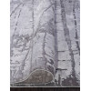 Ковер ARMINA ( АРМИНА ) 03752А - GREY / GREY   