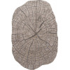 Ковер SAFIR ( САФИР ) 00839C - GREY / BROWN 