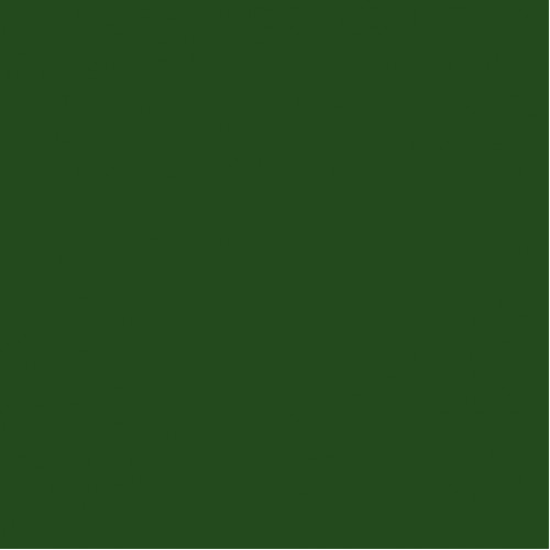 Линолеум PROFI BIGFOOT RICH GREEN
