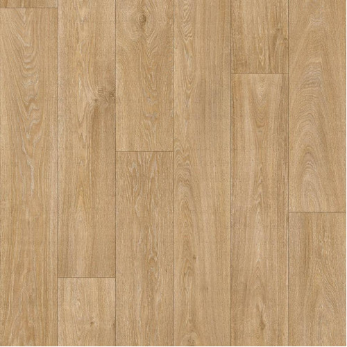 Линолеум PROFI MASTER HAVANNA OAK 10