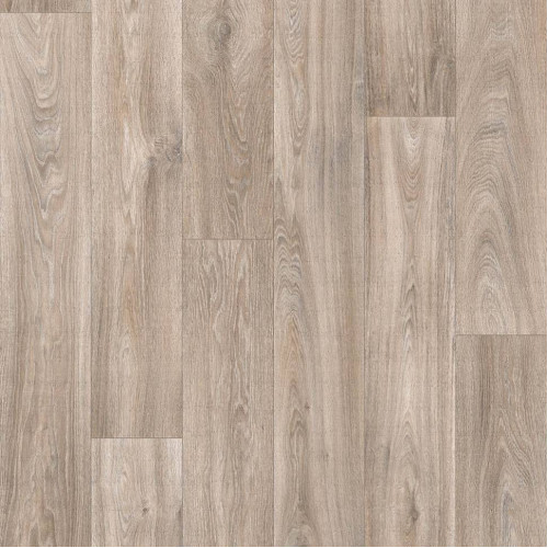 Линолеум PROFI MASTER HAVANNA OAK 1