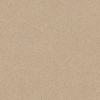 Линолеум PROFI GARANT GRANITE 5