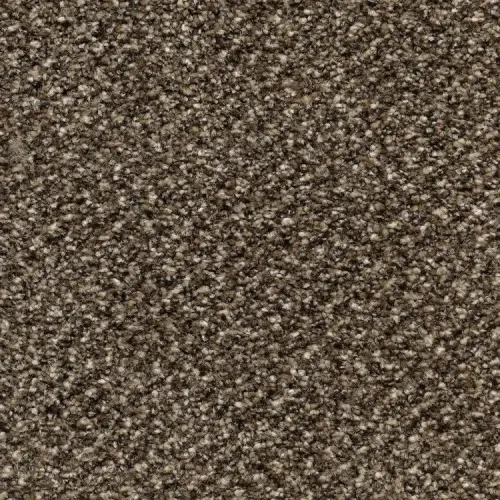 Ковролин Stainaway Tweed (Стейнвей Твид ) 48