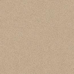 Линолеум PROFI STRONG PLUS GRANITE 5